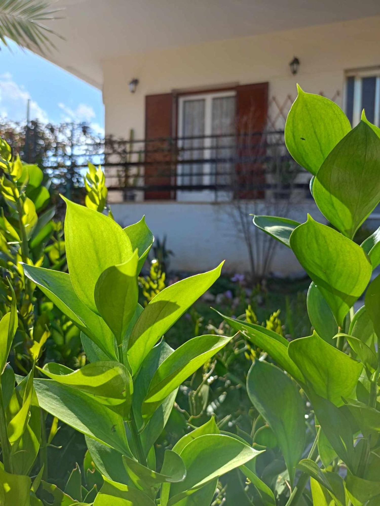 Serene Country House Nafplio Exterior photo
